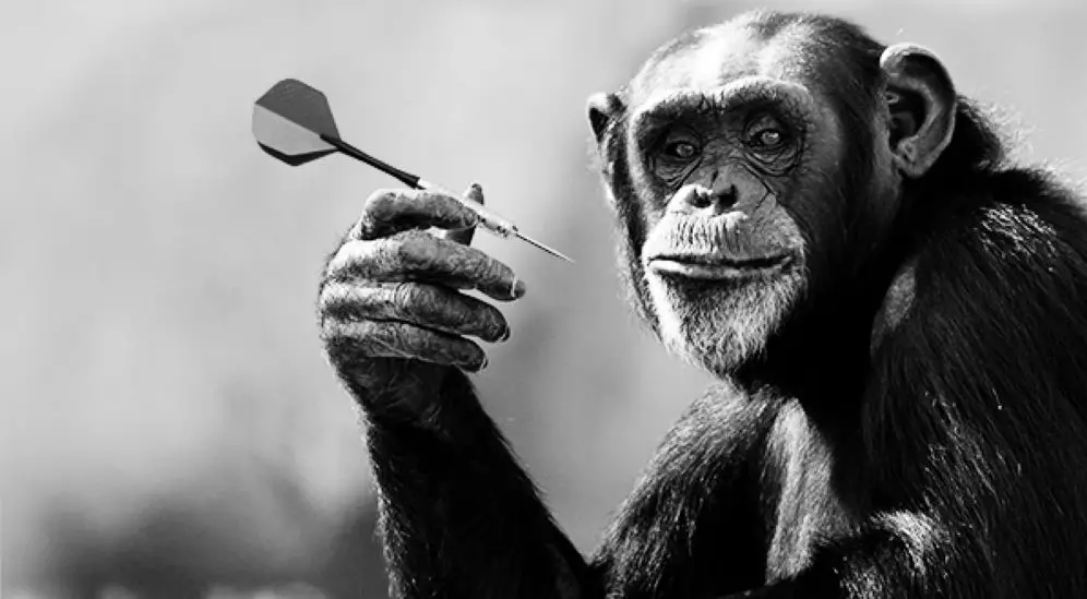 monkey throwing darts